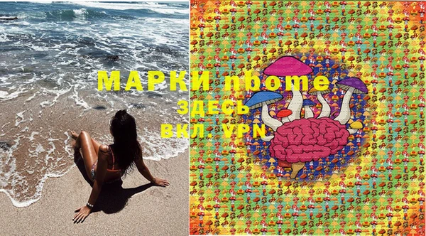 спиды Михайловка