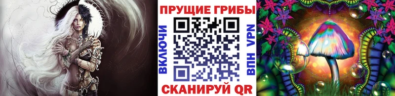 Псилоцибиновые грибы Cubensis  Шарья 