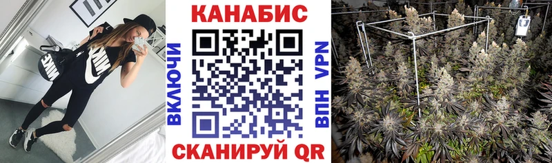 МЕГА ссылки  Шарья  Марихуана индика  магазин продажи  